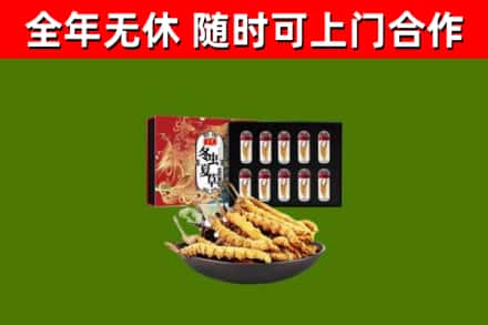 宁陵回收冬虫夏草价格