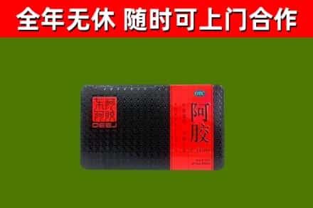 宁陵回收阿胶